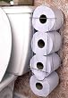 Side of Tank Toilet Paper Holder