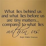 What lies behind us and what lies before us are tiny matters compared to what lies within us 12.5x21 vinyl lettering wall decal sticker art decor