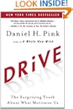 Drive: The Surprising Truth About What Motivates Us