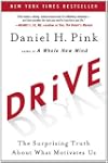 Drive: The Surprising Truth About Wha...