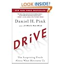 Drive: The Surprising Truth About What Motivates Us