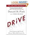 Drive: The Surprising Truth About What Motivates Us