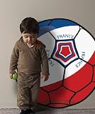 Vinyl Wall Decal Sticker Football Soccer France JH142B