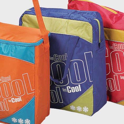 IPV 706740 K&uuml;hltasche \"Keep Cool\" Holiday 12,7 x 31.8 x 38 cm Preisvergleich