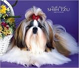 For the Love of Shih Tzu 2008 Deluxe Wall Calendar