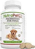 Best Chewable Probiotics for Dogs - On Sale! Diarrhea and Gas Relief Guaranteed + Free Added Prebiotic, Vitamins and Amino Acids - Dog Probiotics That Control Stomach Upset, Itching, Hot Spots and Excessive Shedding Promoting Better Digestion and Regularity