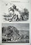 1860 DOG BIRDS HUNTING WILD HORSES AMERICA STREAM HILLS
