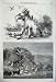 1860 DOG BIRDS HUNTING WILD HORSES AMERICA STREAM HILLS