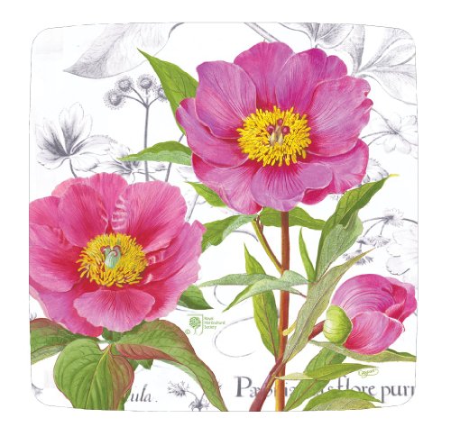 Entertaining with Caspari Victorian Peony Paper Square Salad/Dessert Plates, Ivory, Pack of 8