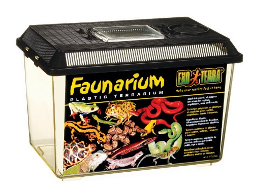 Exo Terra PT2260 Faunarium mittel Preisvergleich