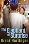 The Elephant of Surprise