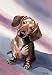 Dachshund Dog Art Print Signed by Artist DJ Rogers
