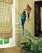 Parrot Wallpaper Mural Tropical Design Border
