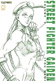 Street Fighter Gaiden, Vol. 2