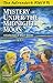 The Adirondack Kids 15: Mystery Under the Midnight Moon & Other Short Stories