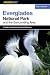 A FalconGuide to Everglades National Park and the Surrounding Area (Exploring Series)