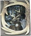 Barnwood Antler Picture Frame