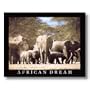 African Dream Elephant Herd Animal Wildlife Picture Art Print
