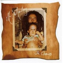 Album cover for Mr. Marley by Damian Marley CD from which you can create your own MP3 Ringtones / Realtones using the ToneBee online ringtone maker.