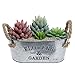 MyGift® Rustic Small Galvanized Metal Succulent Plant Container Planter Tub Bucket with Twine Handles and Flowers & Garden Word Design