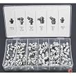 Neiko 110 Pieces Hydraulic Grease Fitting Assortment Set - SAE