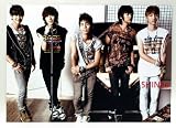 SHINee �ʥ��㥤�ˡ�) �ڥݥ����� 12�糧�å� ��12�����ˡ� (����̵���� 01
