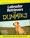 Labrador Retrievers For Dummies