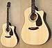 FENDER CD-60CE/NAT