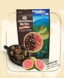 51sZerJ81CL. SL160  Dark Chocolate Covered Guava