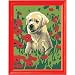 Golden Pup Paint By Numbers
