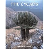 The Cycads