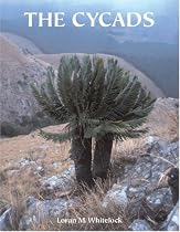 The Cycads