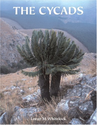 Plants and Trees