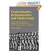Penitentiaries, Reformatories, and Chain Gangs: Social Theory and the History of Punishment in Nineteenth Century America