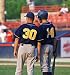 Baseball Coaching Strategy - 24H x 23W - Peel and Stick Wall Decal by Wallmonkeys