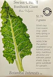 Swiss Chard Fordhook Giant Certified Organic Heirloom Seeds 100 Seeds