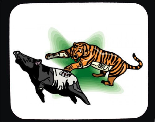 image link -  - B000T6IH4Q