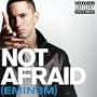 Not Afraid [Explicit]