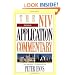 Exodus (The NIV Application Commentary)