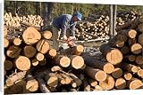 Canvas Prints of A forestry worker using a chain saw to cut pine logs from ArcticPhoto