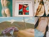 Kenda North