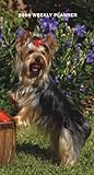 Yorkshire Terriers 2009 Pocket Planner Calendar