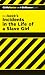 Incidents in the Life of a Slave Girl (Cliffs Notes)