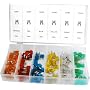 Mini Auto Fuse Assortment - 120 Blade-Type Fuses 5 to 30 Amp