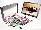 Photo Jigsaw Puzzle of CHIMPANZEE - lying on bed at Orphanage / Nursery for young chimpanzees from Ardea Wildlife Pets Photo Jigsaw Puzzle of CHIMPANZEE - lying on bed at Orphanage / Nursery for young chimpanzees from Ardea Wildlife Pets
