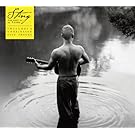 The Best of 25 Years (2 CD Version)