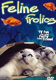 Feline Frolics: TV Fun For Your Cat (Cat Entertainment DVD)