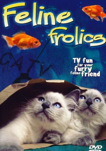 Feline Frolics: TV Fun For Your Cat (Cat Entertainment DVD)