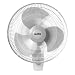 Air King 9016 Commercial Grade Oscillating Wall Mount Fan, 16-Inch