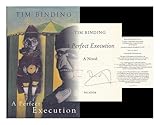 A perfect execution : a novel